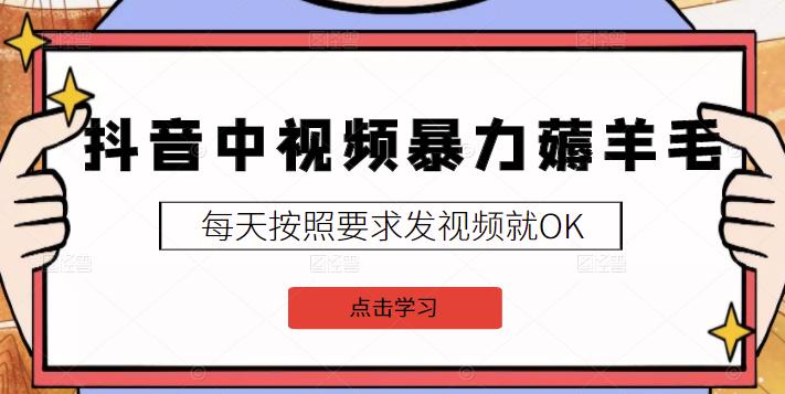 2022抖音中视频暴力薅羊毛白嫖项目：新号每天20块，老号几天几百块，可多号￼-禾谷轻创网