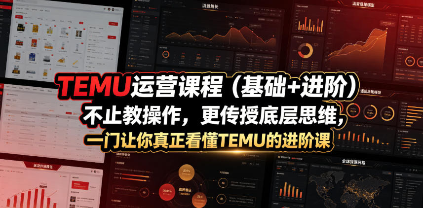 TEMU运营课程(基础+进阶)，不止教操作，更传授底层思维，一门让你真正看懂TEMU的进阶课-禾谷轻创网
