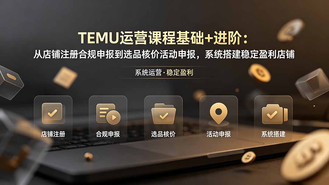 TEMU运营课程(基础+进阶-禾谷轻创网