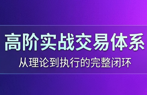 高老师·高阶实战交易体系(更新6月)-禾谷轻创网