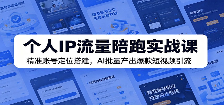 个人IP流量陪跑实战课：精准账号定位搭建，AI批量产出爆款短视频引流-禾谷轻创网