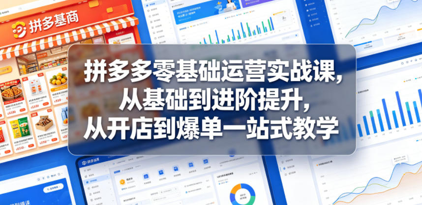 拼多多零基础运营实战课，从基础到进阶提升，从开店到爆单一站式教学-禾谷轻创网