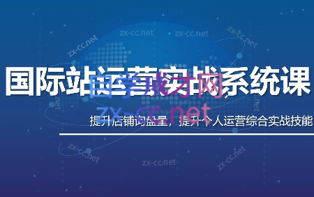 白老师·国际站运营实战系统(高质量询盘增长课)(更新)-禾谷轻创网
