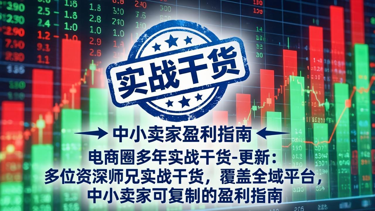 电商圈多年实战干货-更新2026：多位资深师兄实战干货/覆盖全域平台，中小卖家可复制的盈利指南-禾谷轻创网