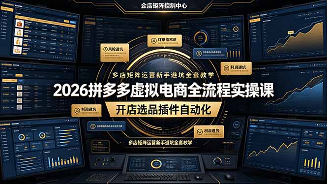 2026拼多多虚拟电商全流程实操课，开店选品插件自动化，多店矩阵运营新手避坑全套教学-禾谷轻创网