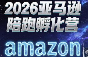 跨境米亚·亚马逊陪跑孵化营(更新7月)-禾谷轻创网