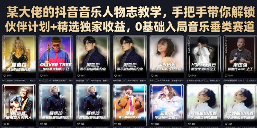 某大佬的抖音音乐人物志教学，手把手带你解锁伙伴计划+精选独家收益，0基础入局音乐垂类赛道-禾谷轻创网