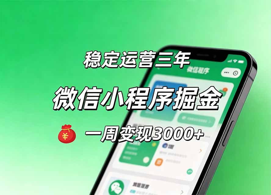 月收益稳定1W+的微信小程序，前期积累客户，后期躺平养老，小白轻松上手-禾谷轻创网