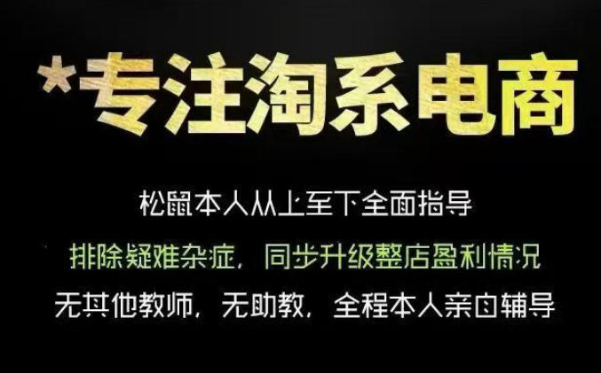 松鼠会电商VIP课程，从基础布局到高阶优化，助你掌握淘宝运营逻辑，提升店铺流量与转化(更新0823)-禾谷轻创网