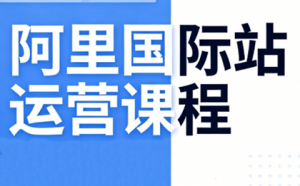 张国儒·阿里国际站运营课程(更新7月)-禾谷轻创网