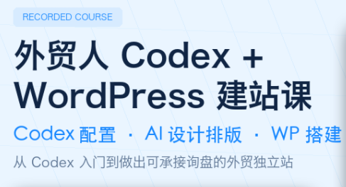 大卫·外贸人Codex + WordPress建站课(更新8月)-禾谷轻创网
