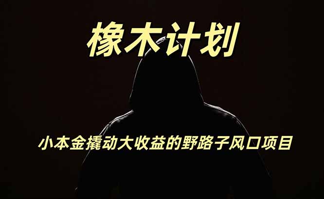 橡木计划，小投入撬动高回报的风口野路子项目，一天投入2小时左右-禾谷轻创网