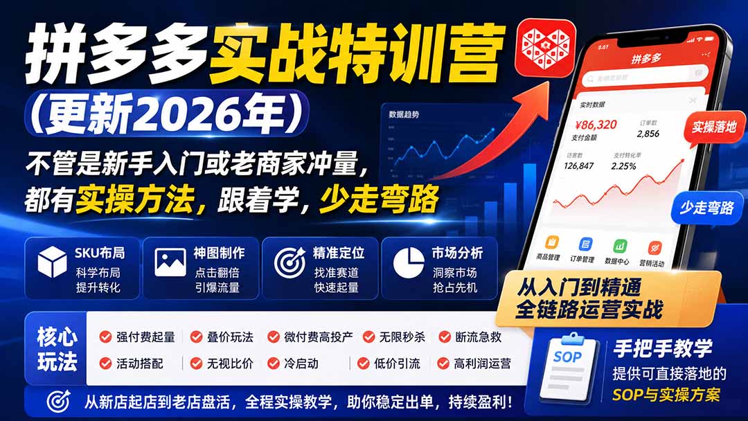 拼多多实战特训营(更新26年0827-禾谷轻创网