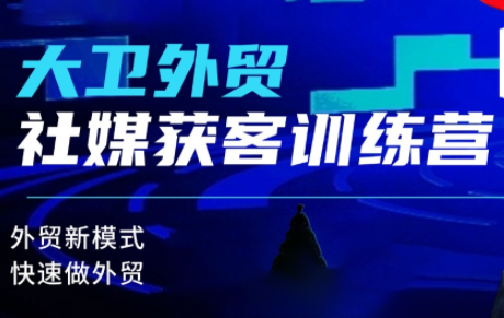 大卫老师·外贸社媒获客独家训练营(更新8月)-禾谷轻创网