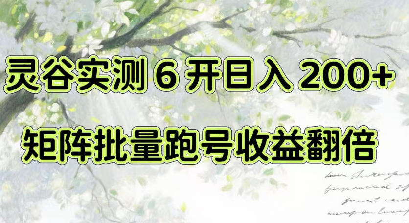 一台电脑就能做！灵谷实测6开日入200+，矩阵批量跑号收益翻倍【揭秘】-禾谷轻创网