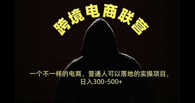 跨境电商联营，一个不一样的电商，普通人可操作日入300-500+-禾谷轻创网