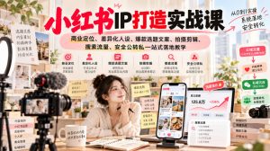 小红书ip打造实战课，商业定位、差异化人设、爆款选题文案、拍摄剪辑、搜索流量、安全公转私一站式落地教学-禾谷轻创网