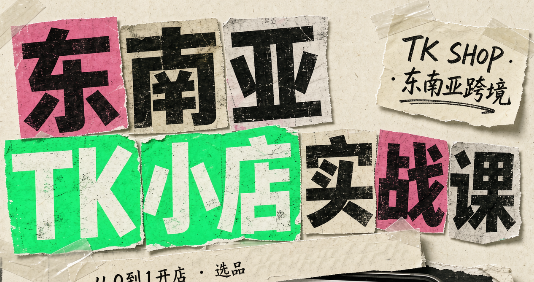 东南亚TK小店实战课(基础+进阶)-禾谷轻创网