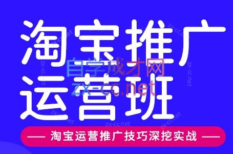 美迪电商·淘宝高级运营班+推广运营班(更新10月)-禾谷轻创网