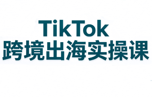 彭老师·TikTok跨境出海实操课-禾谷轻创网