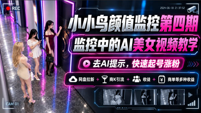 小小鸟颜值监控第四期，监控中的AI美女视频教学，去AI提示，快速起号涨粉，网盘拉新+商K引流+收徒+商单等多种收益-禾谷轻创网