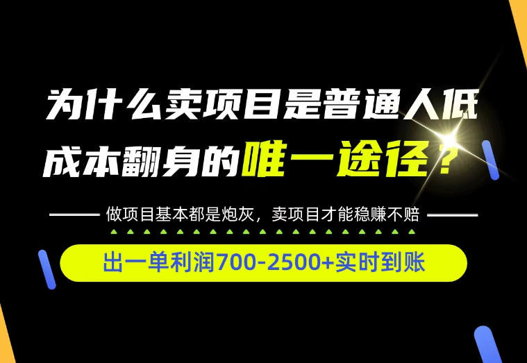 普通人如何靠互联网賺取自己的第一桶金！全类目实操型教学，看完你全都懂了！【揭秘】-禾谷轻创网