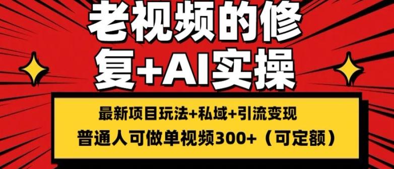 修复老视频的玩法，搬砖+引流的变现(可持久)，单条收益300+【揭秘】-禾谷轻创网