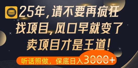 什么？25年你还在疯狂找项目做，醒醒吧，看完这些你全都懂了【揭秘】-禾谷轻创网