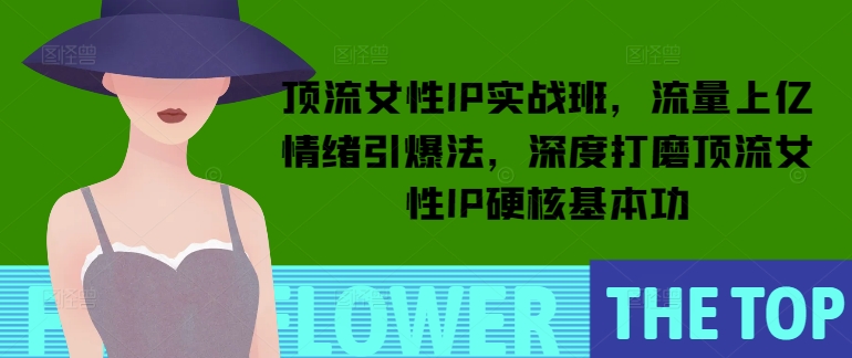 顶流女性IP实战班，流量上亿情绪引爆法，深度打磨顶流女性IP硬核基本功-禾谷轻创网