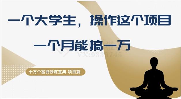 十万个富翁修炼宝典之4.一个大学生操作这个项目，一个月能搞一万-禾谷轻创网