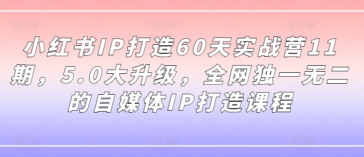 小红书IP打造60天实战营11期，5.0大升级，全网独一无二的自媒体IP打造课程-禾谷轻创网