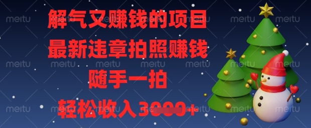 解气又挣钱的项目，最新违章拍照挣钱，随手一拍，轻松收入数张【揭秘】-禾谷轻创网