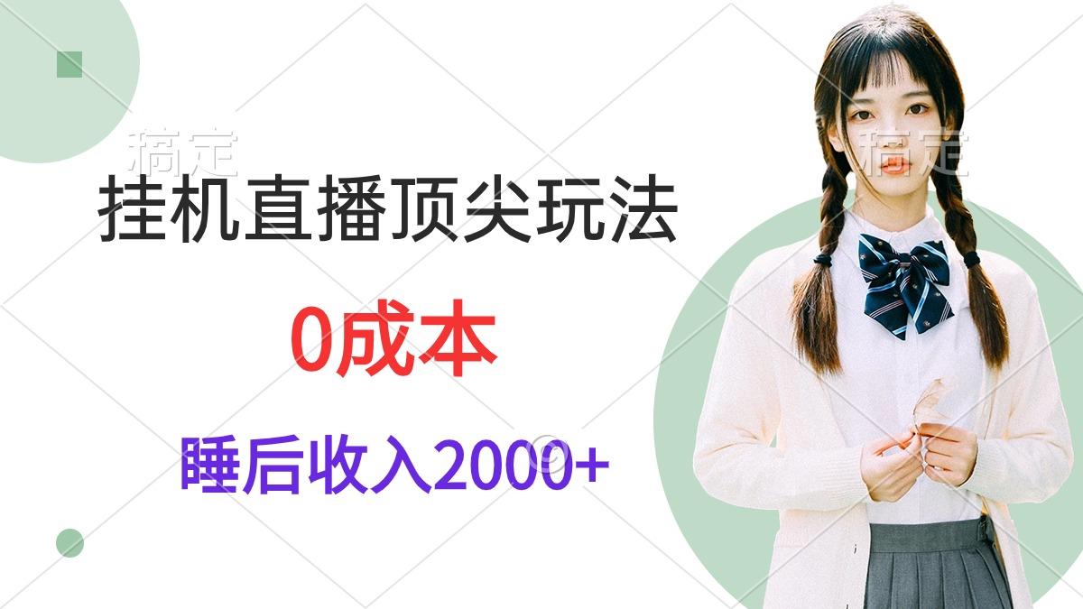 (9715期)挂机直播顶尖玩法，睡后日收入2000+、0成本，视频教学-禾谷轻创网