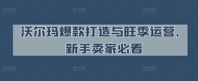 沃尔玛爆款打造与旺季运营，新手卖家必看-禾谷轻创网