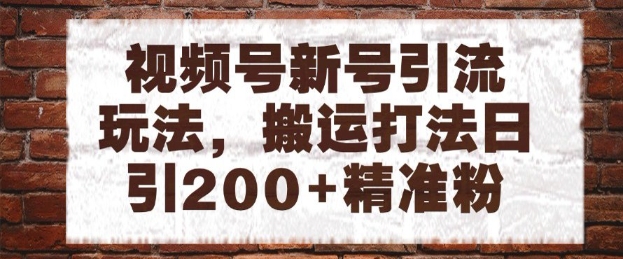 视频号新号引流玩法，搬运打法日引200+精准粉，可矩阵放大【揭秘】-禾谷轻创网