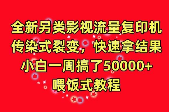 全新另类影视流量复印机，传染式裂变，快速拿结果，小白一周搞了50000+，喂饭式教程【揭秘】-禾谷轻创网