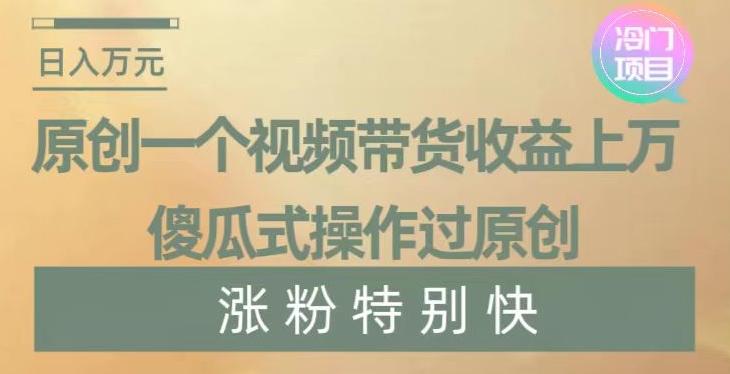 原创一个视频带货收益上万，傻瓜式操作过原创，几分钟做一个视频涨粉特别快【揭秘】-禾谷轻创网