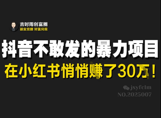 抖音不敢发的暴利项目，在小红书悄悄挣了30W-禾谷轻创网