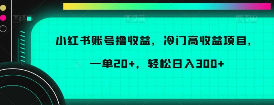小红书账号撸收益，冷门高收益项目，一单20+，轻松日入300+【揭秘】-禾谷轻创网