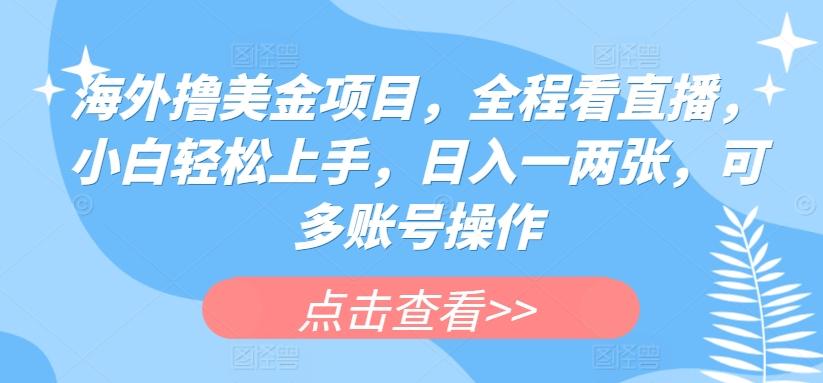 海外撸美金项目，全程看直播，小白轻松上手，日入一两张，可多账号操作【揭秘】-禾谷轻创网