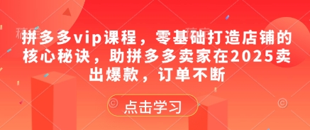 拼多多vip课程，零基础打造店铺的核心秘诀，助拼多多卖家在2025卖出爆款，订单不断-禾谷轻创网