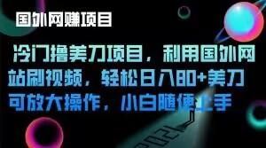 冷门撸美刀项目，利用国外网站刷视频，轻松日入80+美刀，可放大操作，小白随便上手-禾谷轻创网