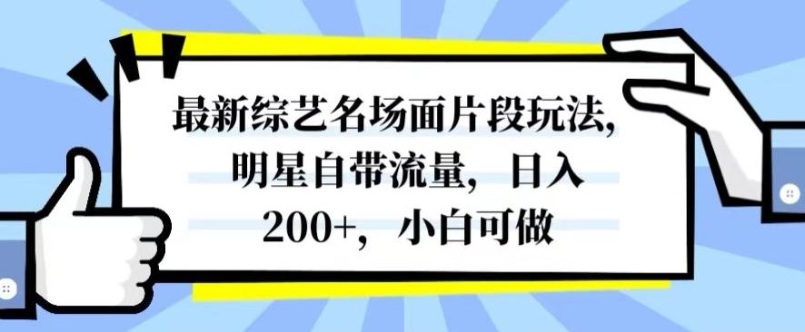最新综艺名场面片段玩法，明星自带流量，日入200+，小白可做【揭秘】-禾谷轻创网