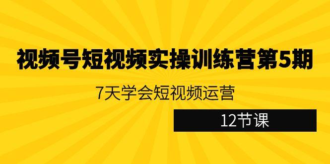 视频号短视频实操训练营第5期：7天学会短视频运营(12节课)-禾谷轻创网