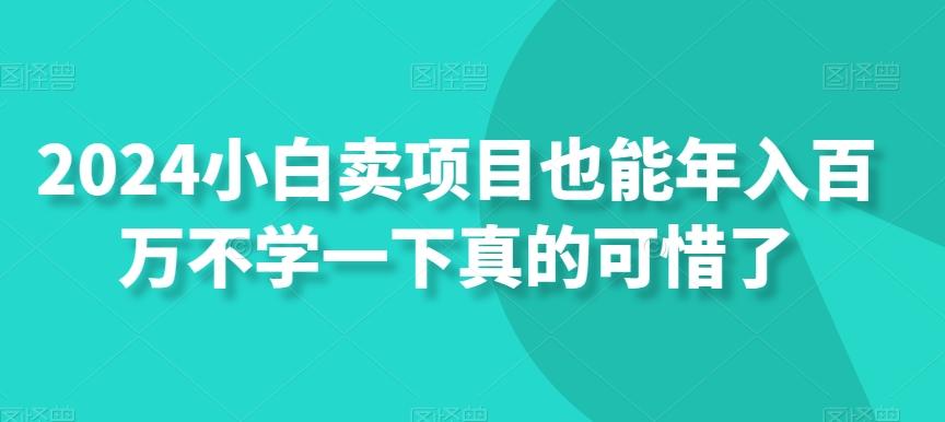 2024小白卖项目也能年入百万不学一下真的可惜了-禾谷轻创网