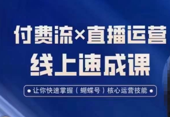 视频号付费流实操课程，付费流✖️直播运营速成课，让你快速掌握视频号核心运营技能-禾谷轻创网