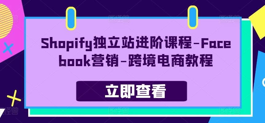 Shopify独立站进阶课程-Facebook营销-跨境电商教程-禾谷轻创网