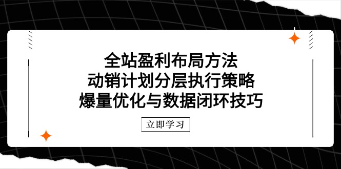 全站盈利布局方法：动销计划分层执行策略，爆量优化与数据闭环技巧-禾谷轻创网
