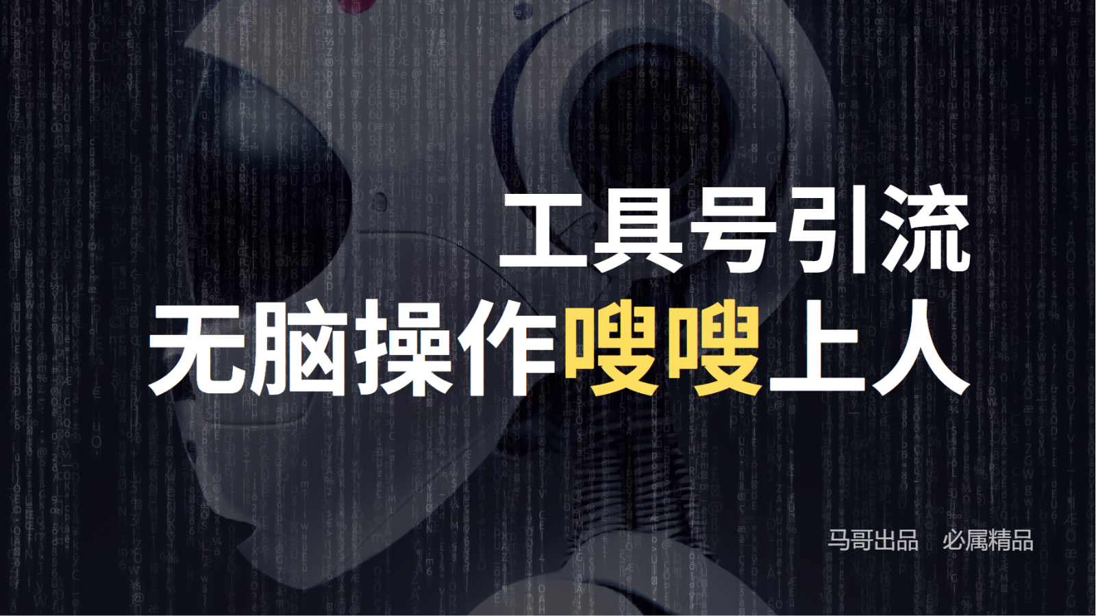 工具号高效引流法，嗖嗖上人，日引1000+，直接搬运，无脑操作-禾谷轻创网