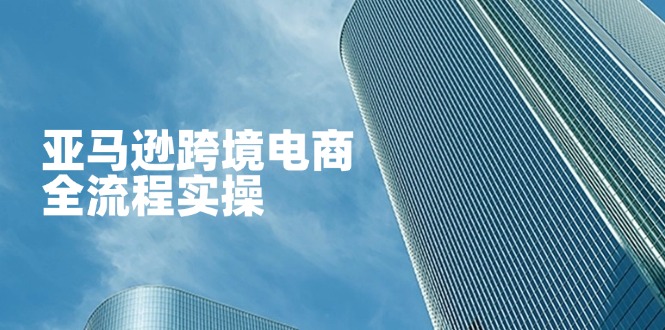 亚马逊跨境电商全流程实操，教你从零开始，掌握店铺运营与广告技巧-禾谷轻创网
